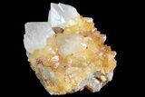 Sunshine Cactus Quartz Crystal Cluster - South Africa #80197-2